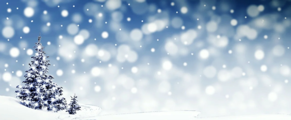 Frohe Weihnachten und ein gutes Neues!